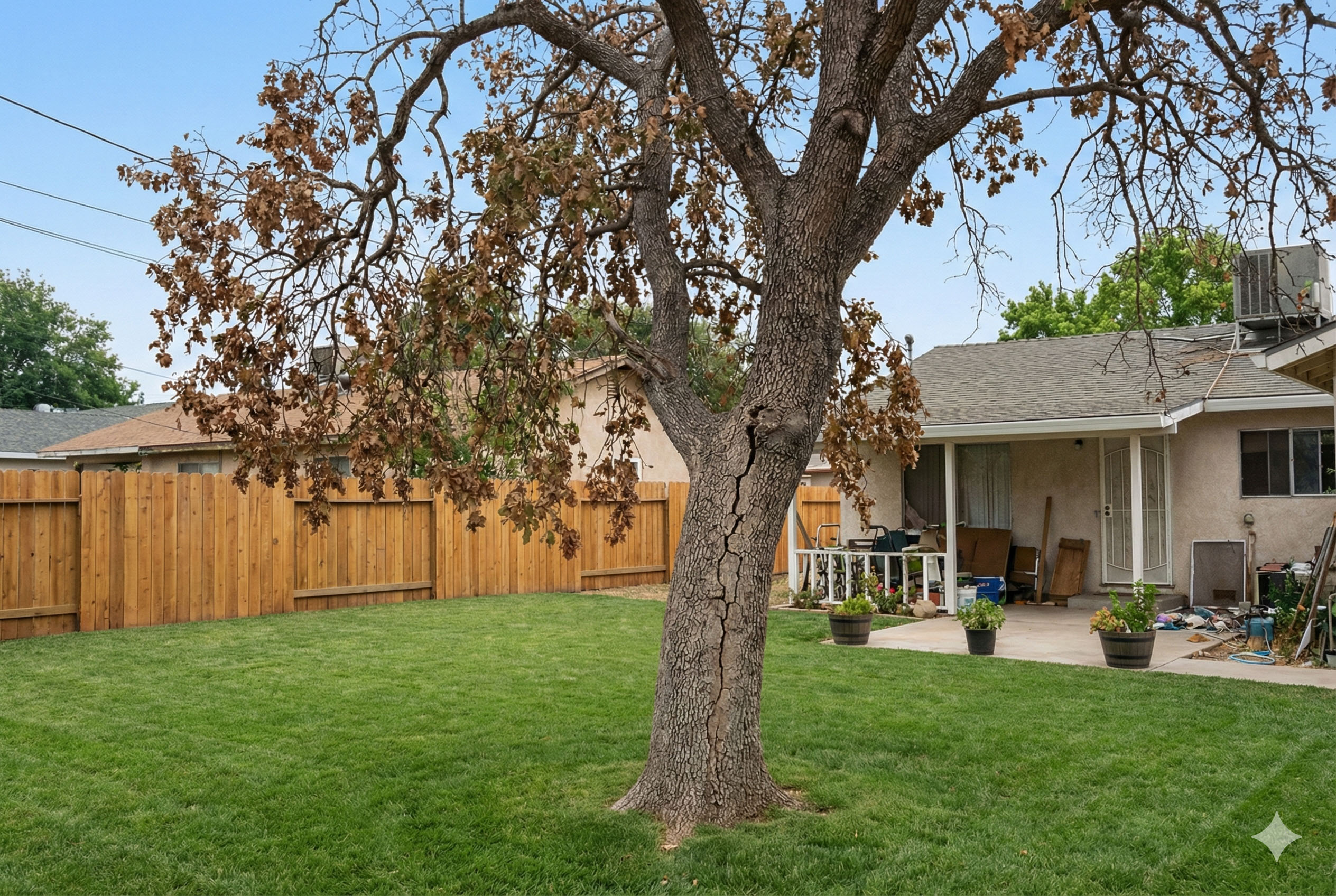 Central Coast of California landscape